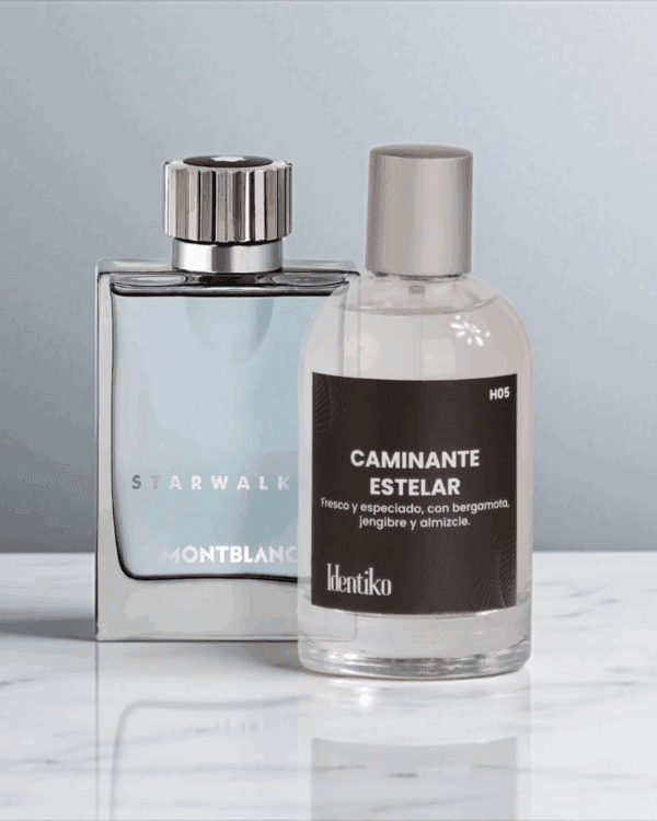 Caminante estelar - (Inspirado en Star Walker by Montblanc) H05