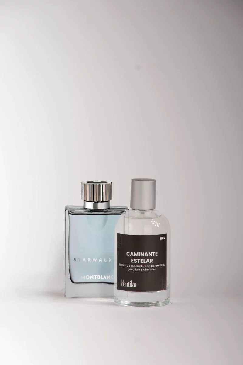 Caminante estelar - (Inspirado en Star Walker by Montblanc) H05