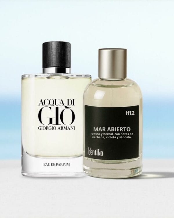 Mar Abierto - (Inspirado en Aqua Di Gio by Armani) H12