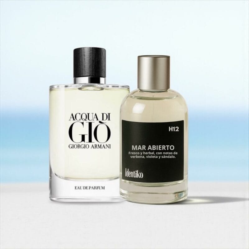 Mar Abierto - (Inspirado en Aqua Di Gio by Armani) H12